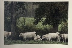 format A2 (420x594) sur papier etching museumbords frangés 340 gr