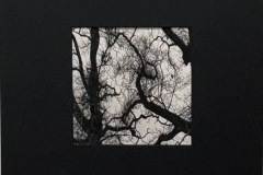 IMG_7067-1-1