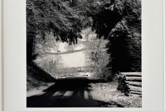 IMG_7083-1-1